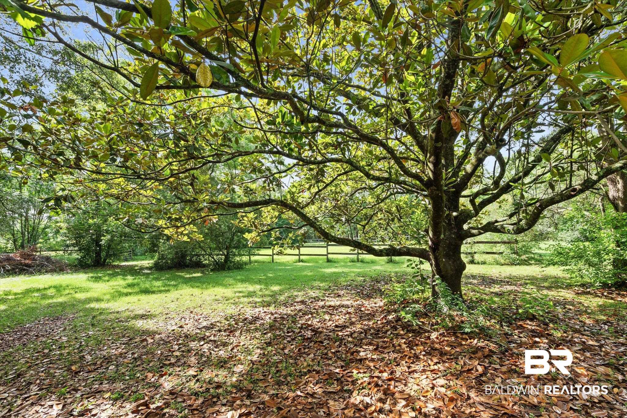 23953 Peturis Road Loxley, AL 36551 - Photo 48 of 56 Notice mature magnolia tree and full fencing
