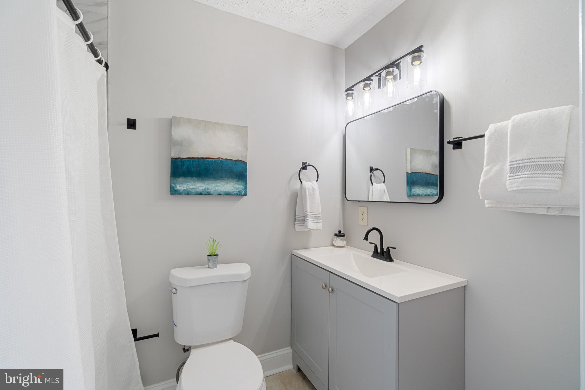 8546 Skipjack Place Pasadena, MD 21122 - Photo 9 of 20 a bathroom with a toilet sink and mirror