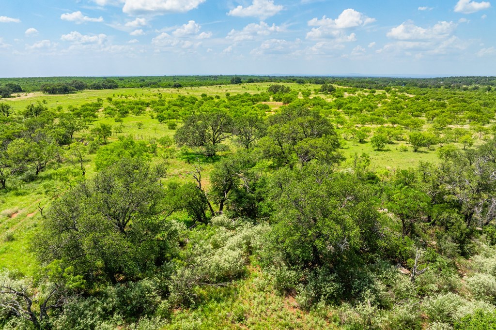 7602 County Road 113 Llano, TX 78643 - Photo 30 of 69