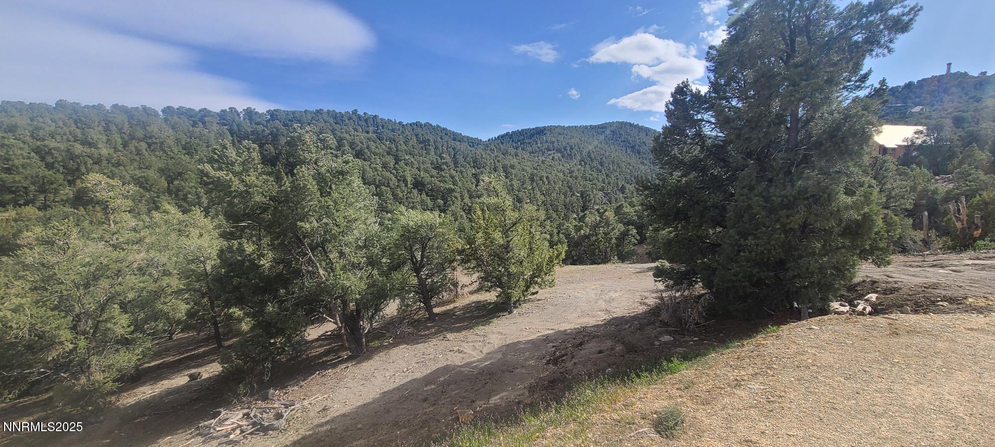 21685 Palamino Road Reno, NV 89521 - Photo 1 of 13 20220418_161210