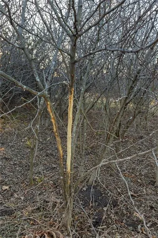 $324,700 | 2530 Arkansas Terrace, Quenemo, KS 66528