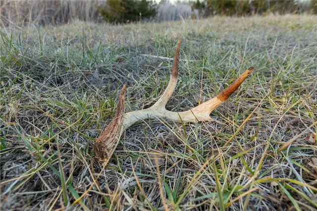 $324,700 | 2530 Arkansas Terrace, Quenemo, KS 66528