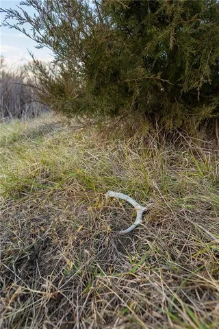 $324,700 | 2530 Arkansas Terrace, Quenemo, KS 66528