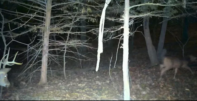 $324,700 | 2530 Arkansas Terrace, Quenemo, KS 66528