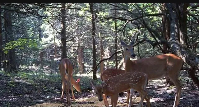 $324,700 | 2530 Arkansas Terrace, Quenemo, KS 66528