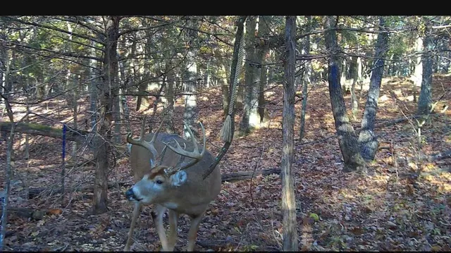 $324,700 | 2530 Arkansas Terrace, Quenemo, KS 66528