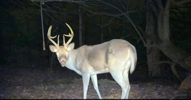 $324,700 | 2530 Arkansas Terrace, Quenemo, KS 66528