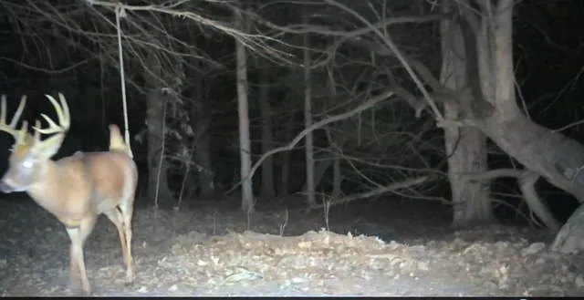 $324,700 | 2530 Arkansas Terrace, Quenemo, KS 66528