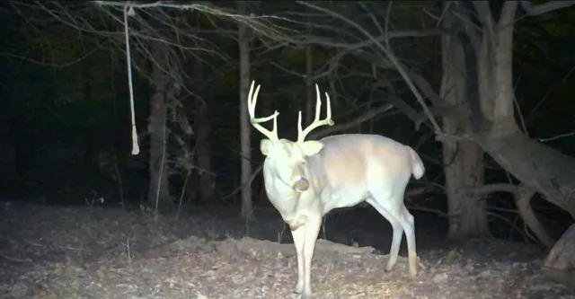 $324,700 | 2530 Arkansas Terrace, Quenemo, KS 66528