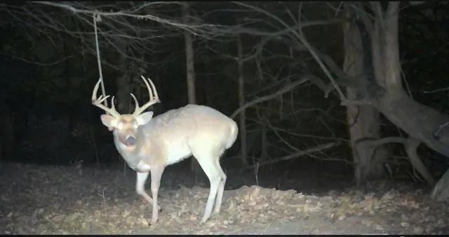 $324,700 | 2530 Arkansas Terrace, Quenemo, KS 66528