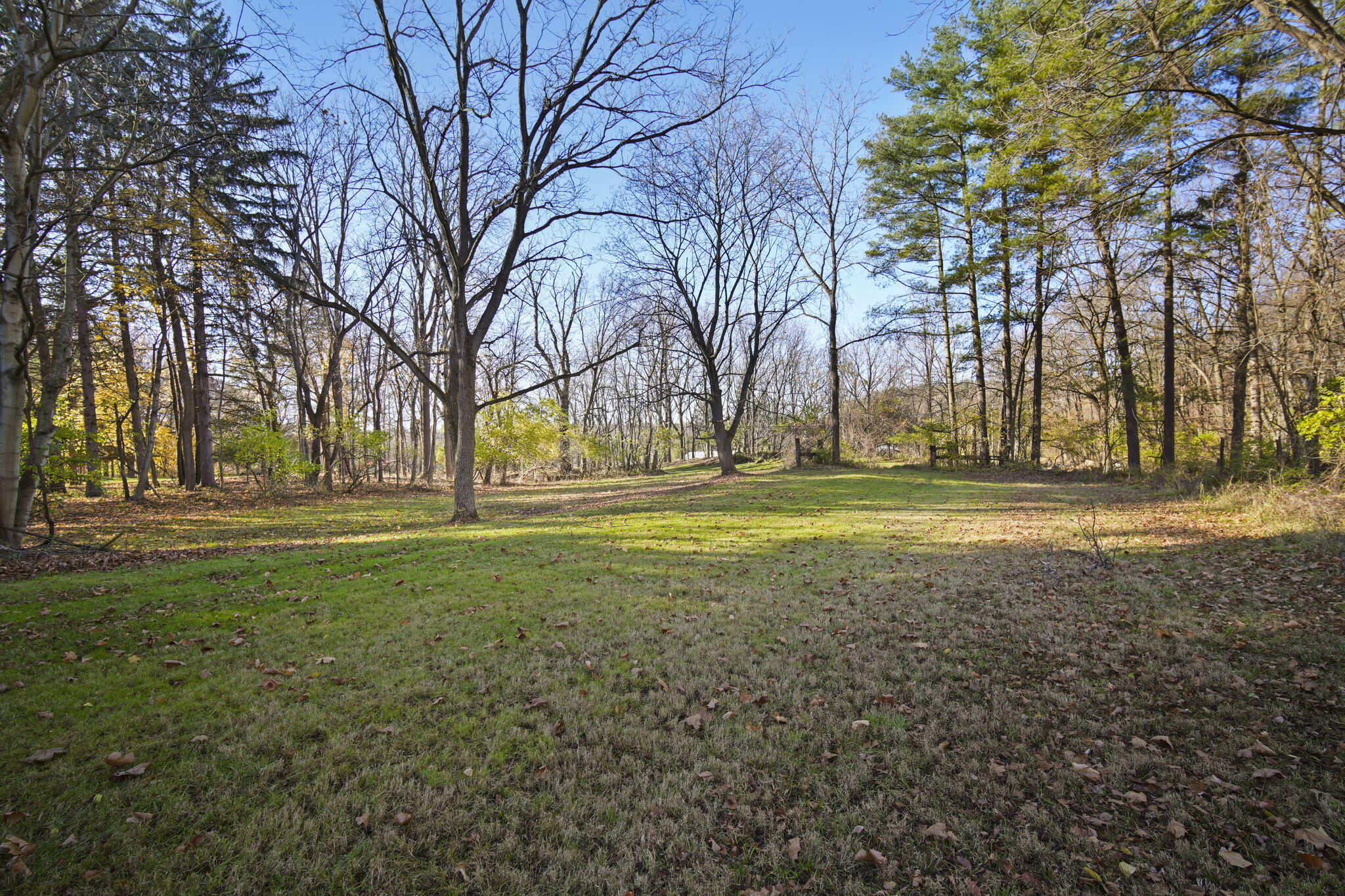 5330 Browns Lake Road Jackson, MI 49203 - Photo 25 of 29 46-web-or-mls-DSC07287