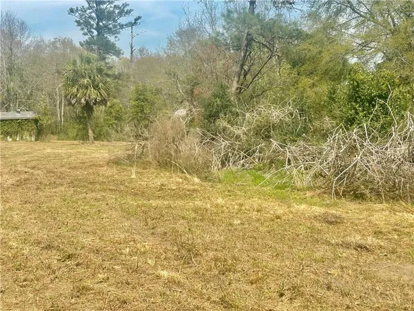 a view of a yard