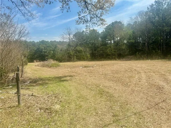 a view of yard with large tree