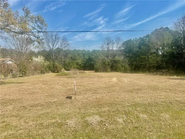 a view of a yard