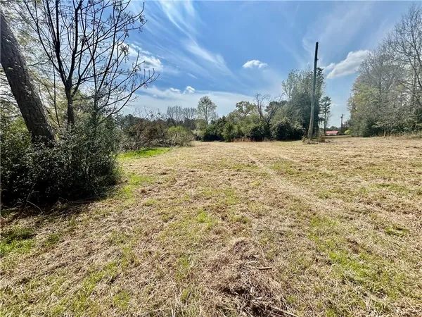 a view of a yard with an trees