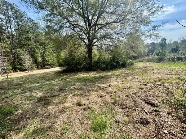 a view of a field with trees in the background