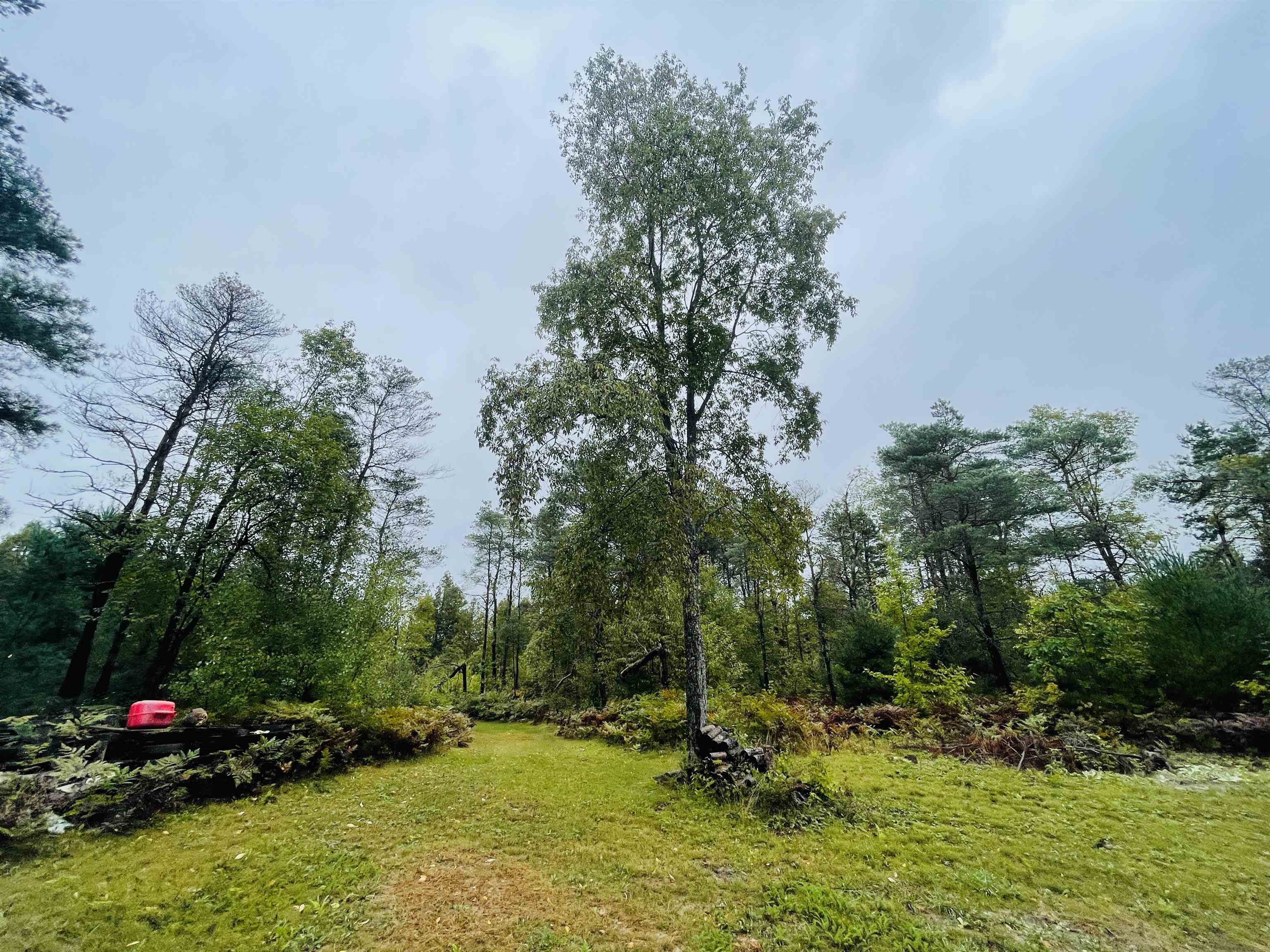 0 East 20 Road Manton, MI 49663 - Photo 6 of 28 1905377-5.JPG