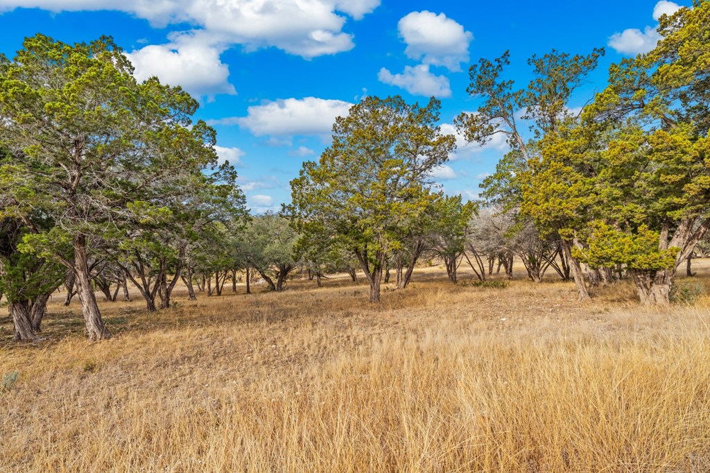 0 Spring Lakes Parkway West Ingram, TX 78025 - Photo 3 of 19
