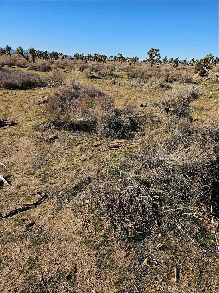 0 Division Street Littlerock, CA 93543 - Photo 2 of 2 a view of ocean view with beach