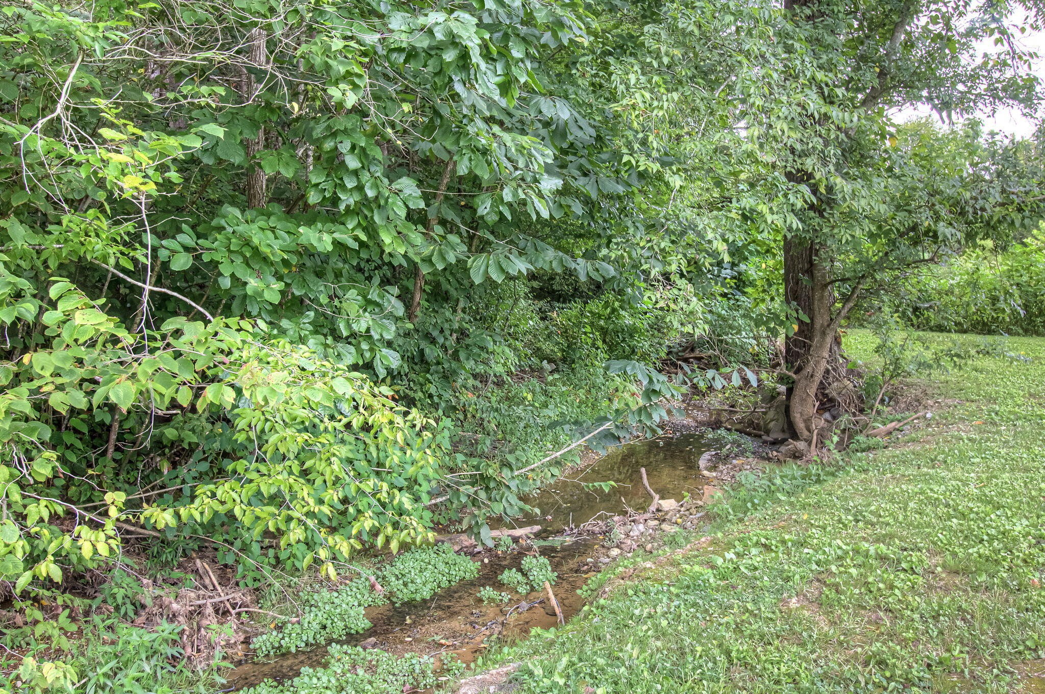 984 Goose Gap Road, Unit 4 Sevierville, TN 37876 - Photo 9 of 38 Gallery Image 9
