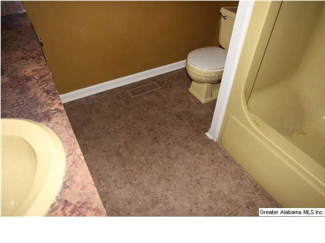 95 Wattsville Drive Ragland, AL 35131 - Photo 14 of 17