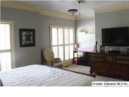 447 Ronny Lane Springville, AL 35146 - Photo 11 of 22