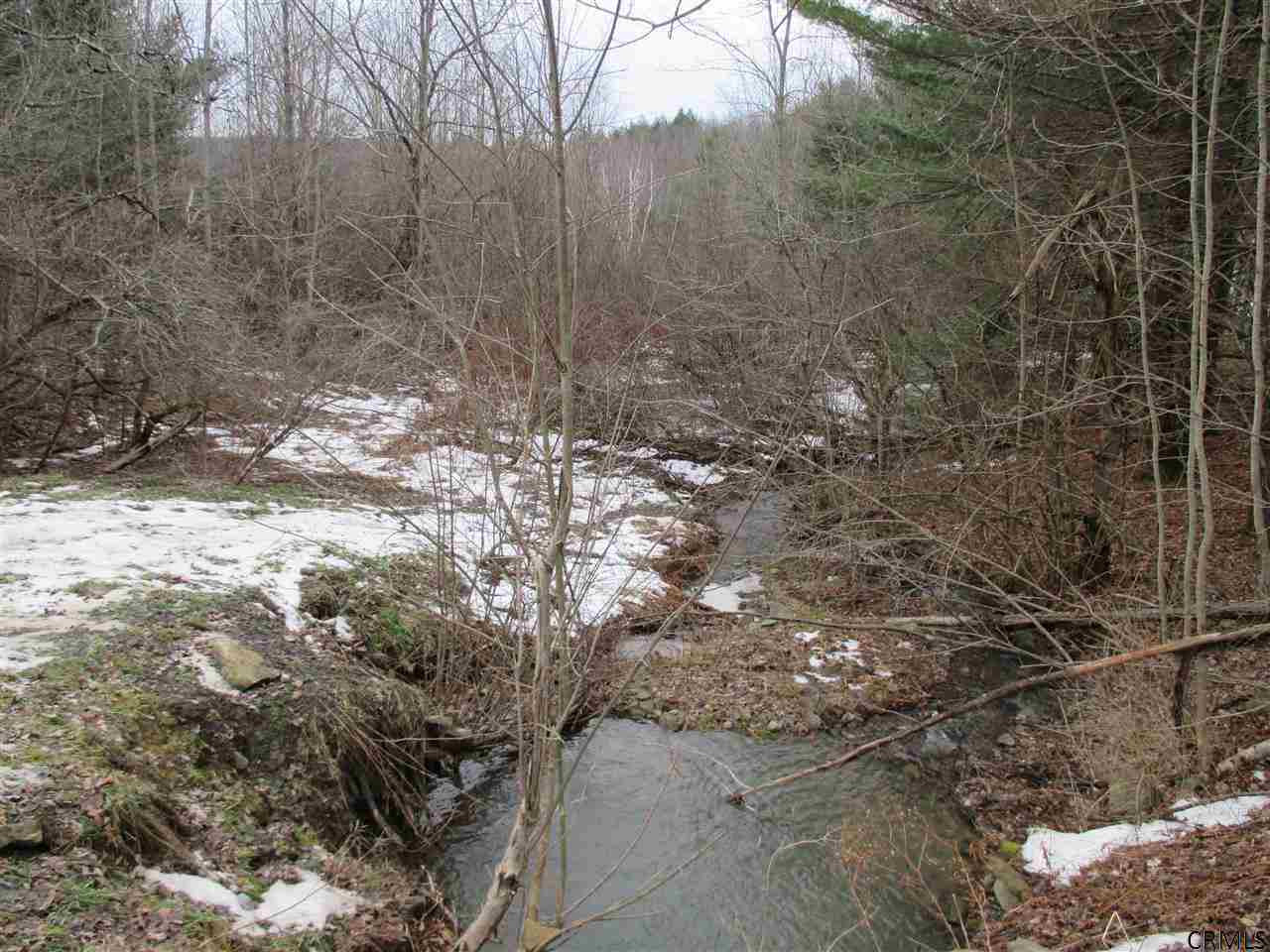 Patria Road Fultonham, NY 12071 - Photo 2 of 6 Photo 2