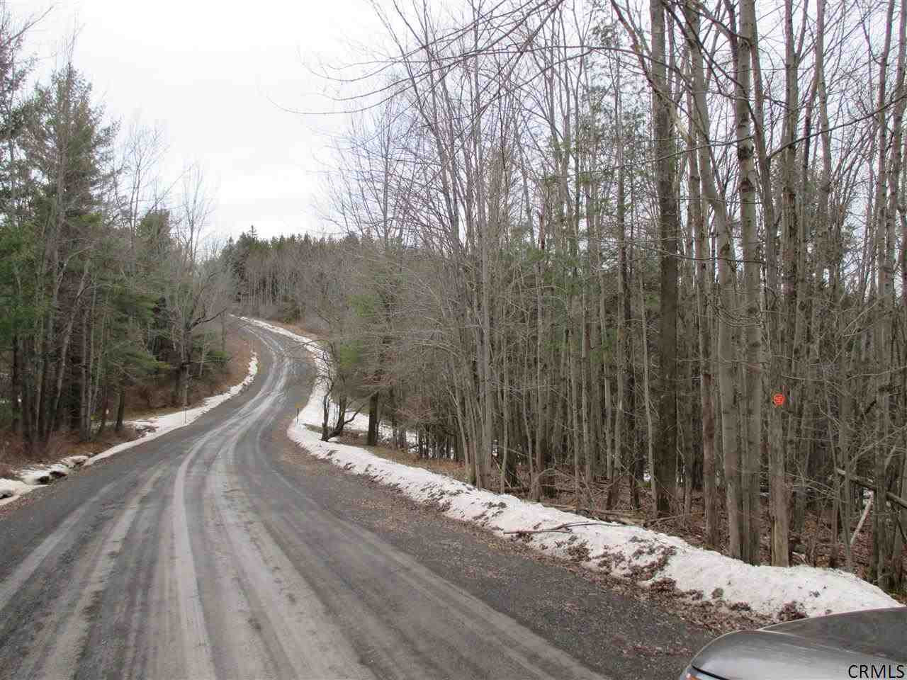 Patria Road Fultonham, NY 12071 - Photo 3 of 6 Photo 3