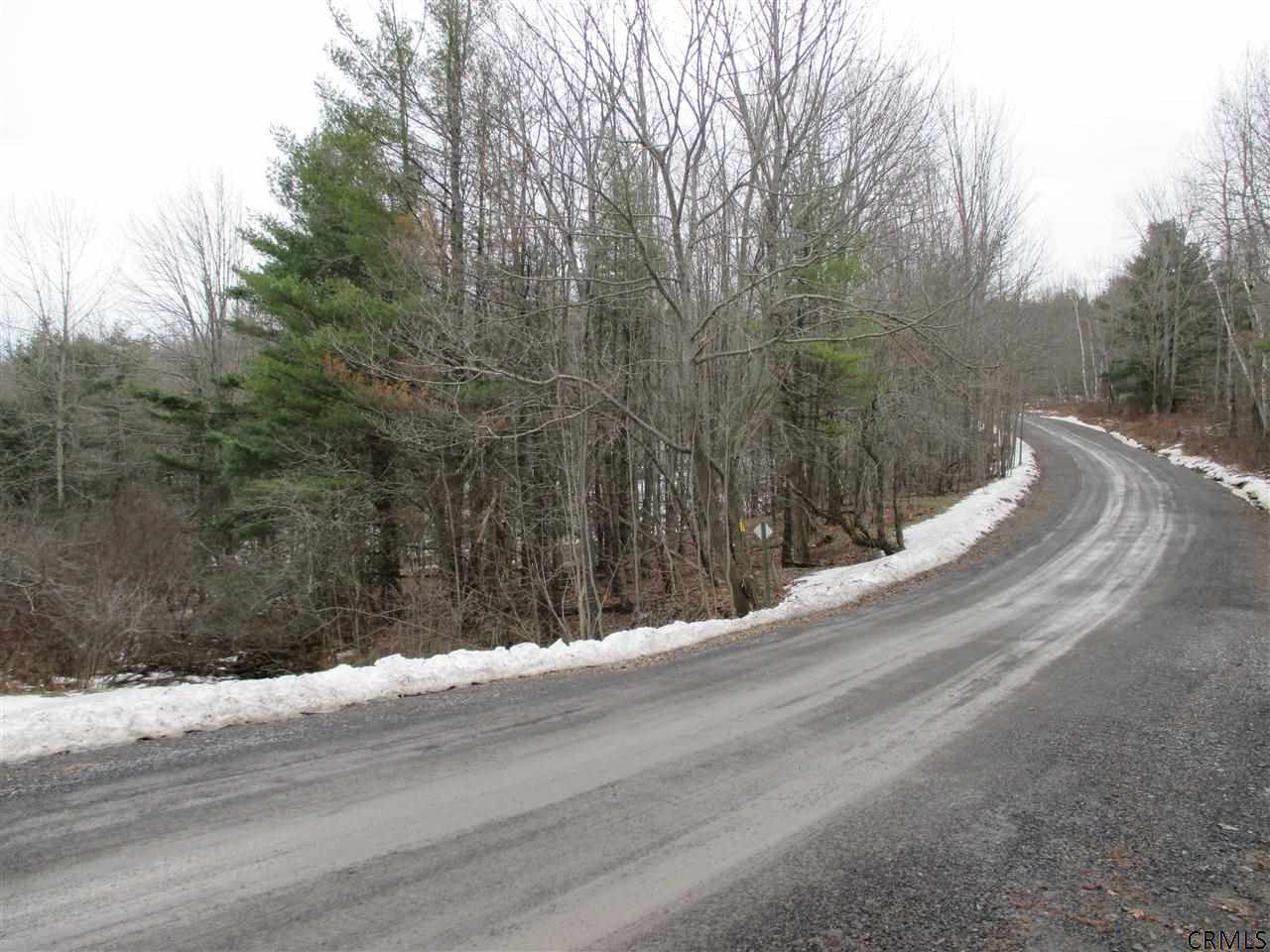 Patria Road Fultonham, NY 12071 - Photo 4 of 6 Photo 4