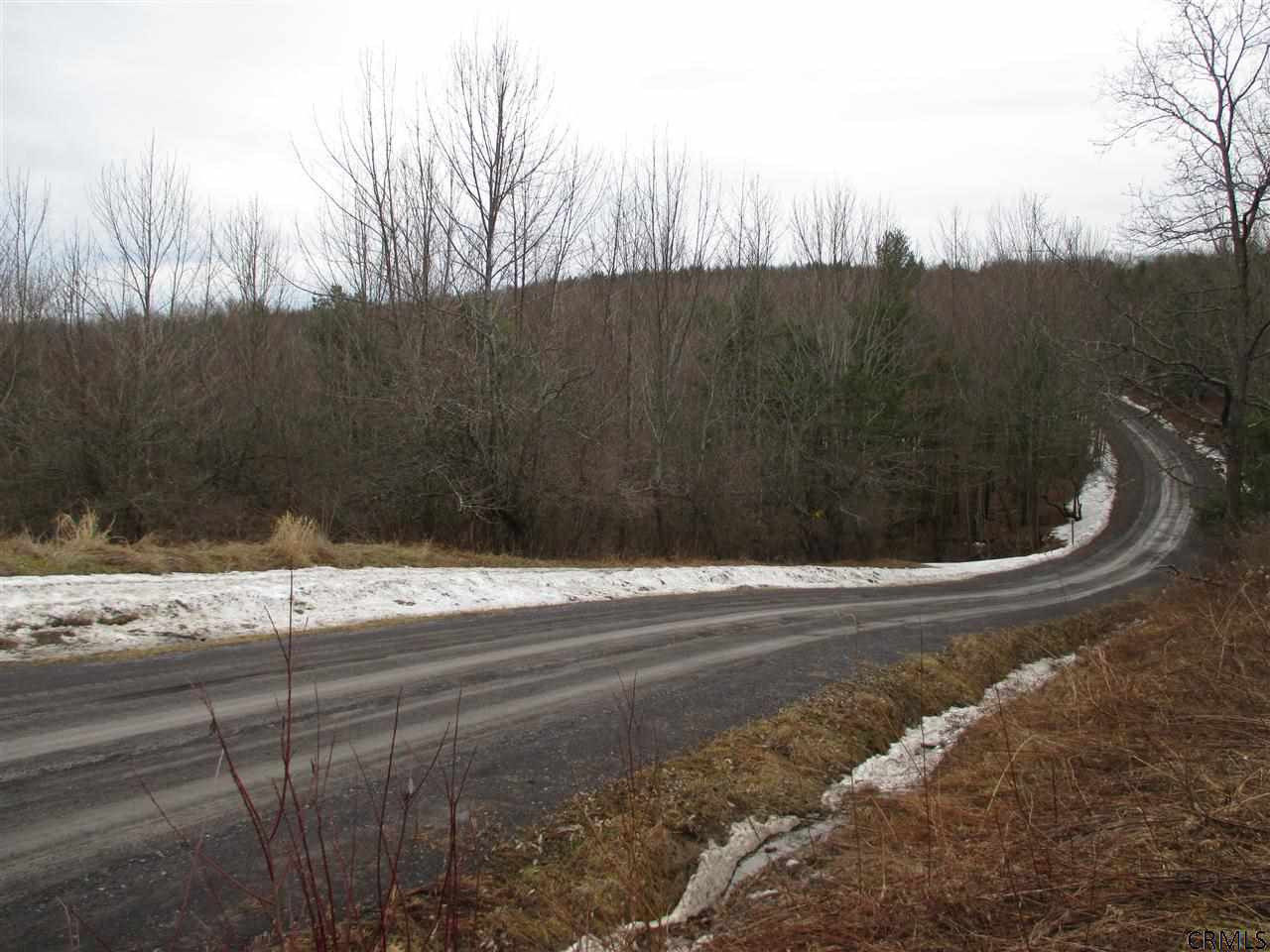 Patria Road Fultonham, NY 12071 - Photo 5 of 6 Photo 5