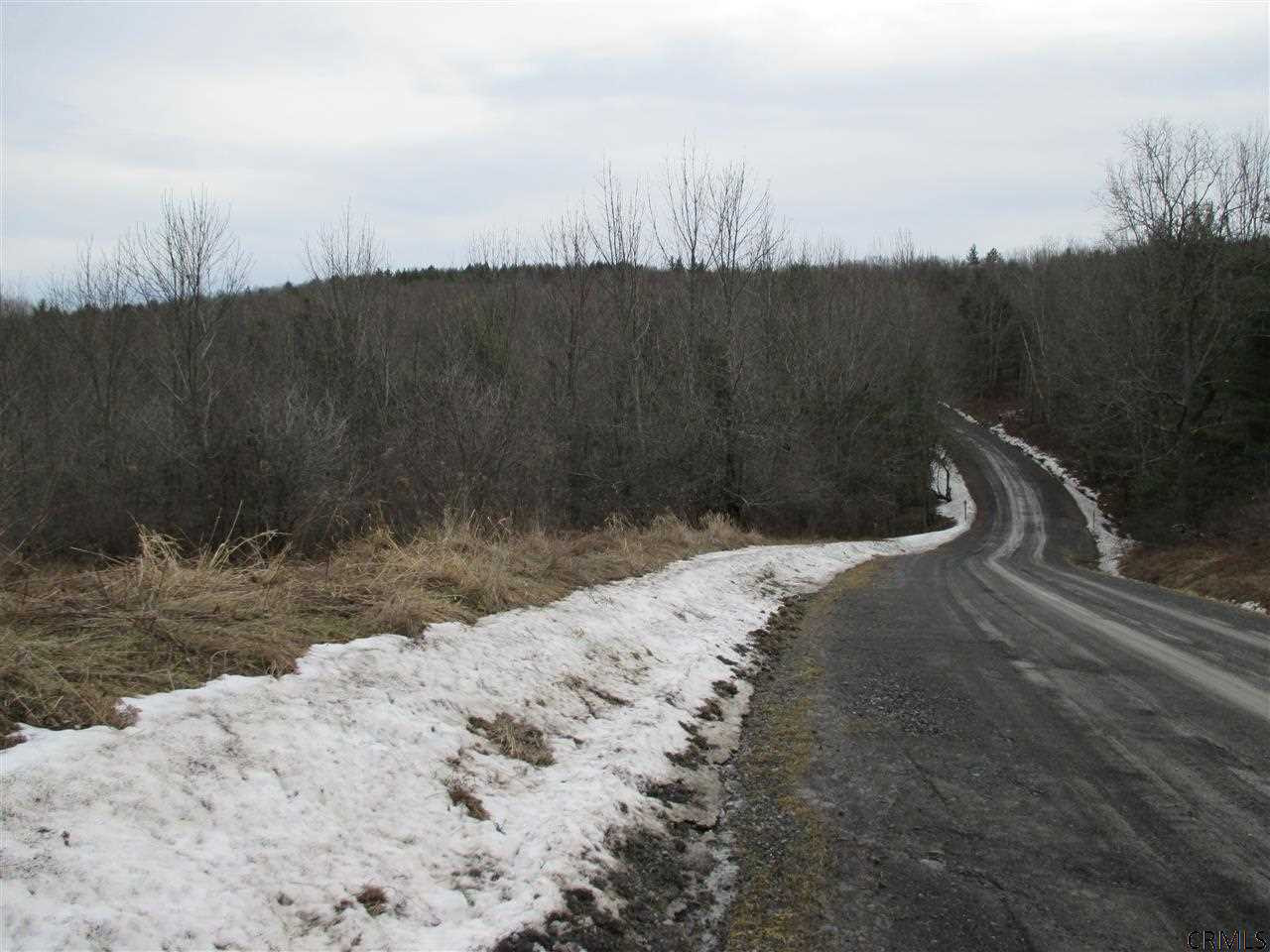 Patria Road Fultonham, NY 12071 - Photo 6 of 6 Photo 6