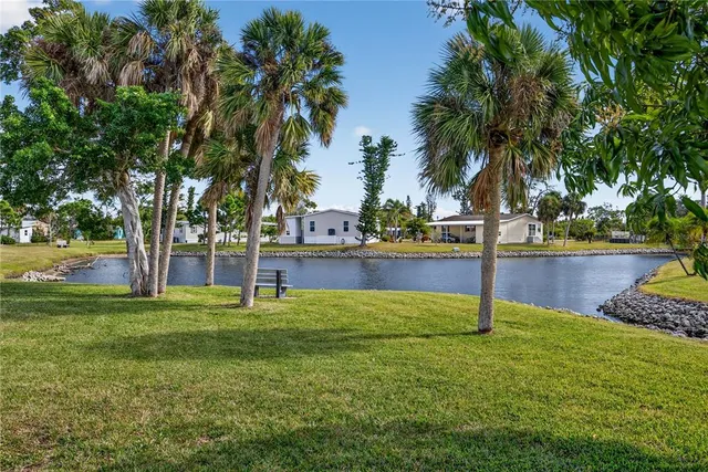 a swimming pool with trees