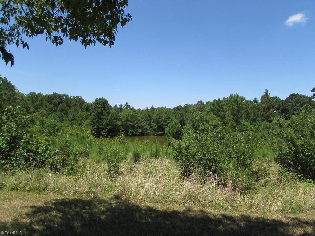 5737 Fairview Church Road Trinity, NC 27370 - Photo 5 of 7 Beautiful large pond located close to house