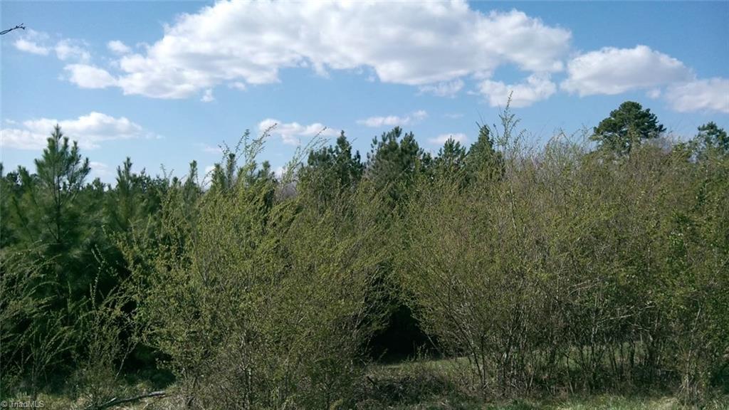 5737 Fairview Church Road Trinity, NC 27370 - Photo 6 of 7