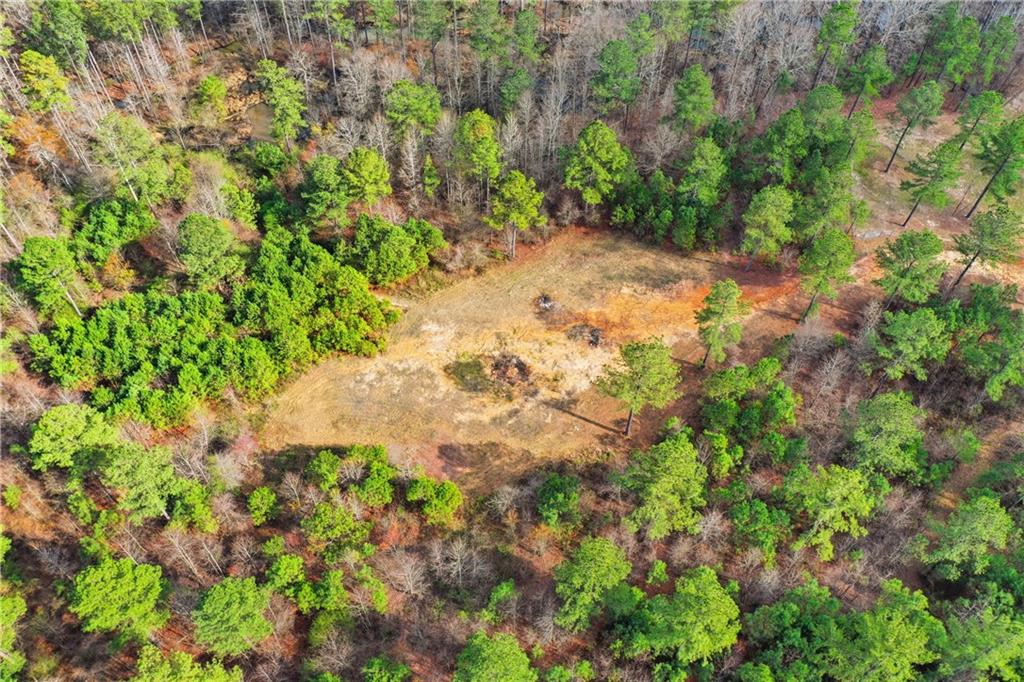 0 McPherson Church Road Dallas, GA 30132 - Photo 4 of 11 a backyard of a house with lots of green space and garden