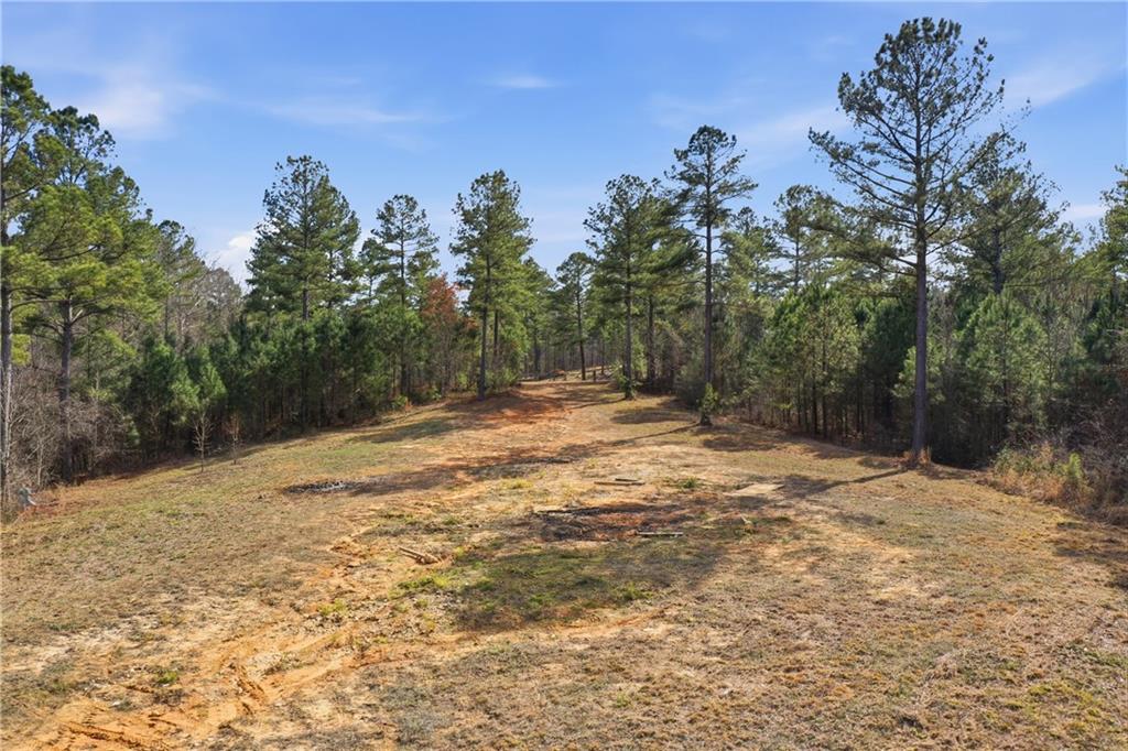 0 McPherson Church Road Dallas, GA 30132 - Photo 6 of 11 a backyard of a house with lots of green space