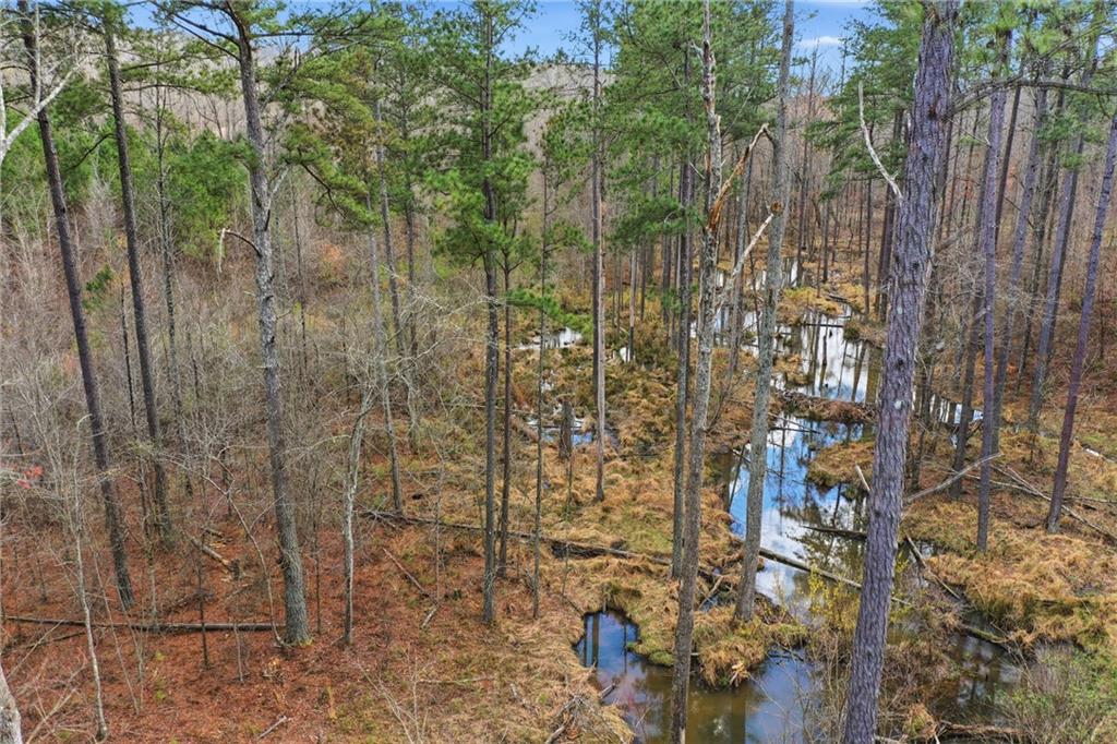 0 McPherson Church Road Dallas, GA 30132 - Photo 7 of 11 a view of a pathway