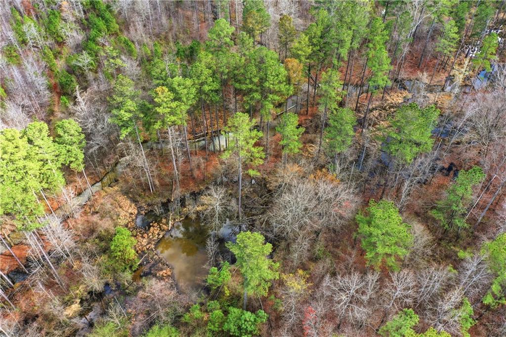 0 McPherson Church Road Dallas, GA 30132 - Photo 8 of 11 a plant view in yard