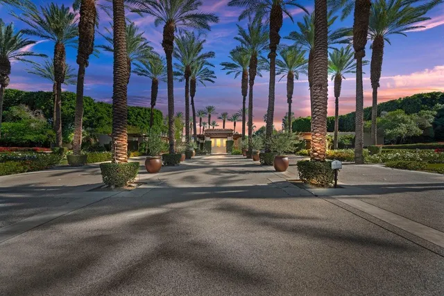 a row of palm trees and a yard in front of the house
