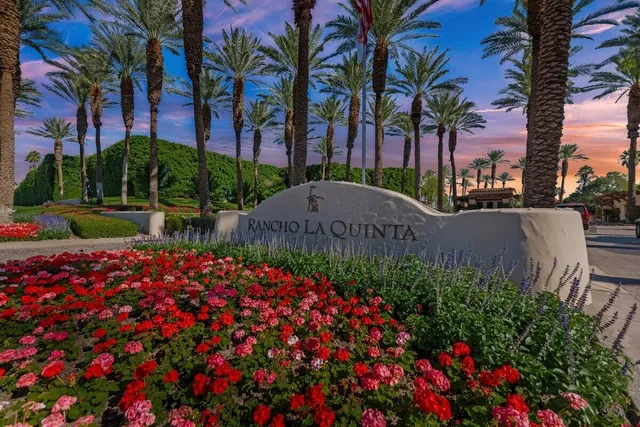 a picture of flowers