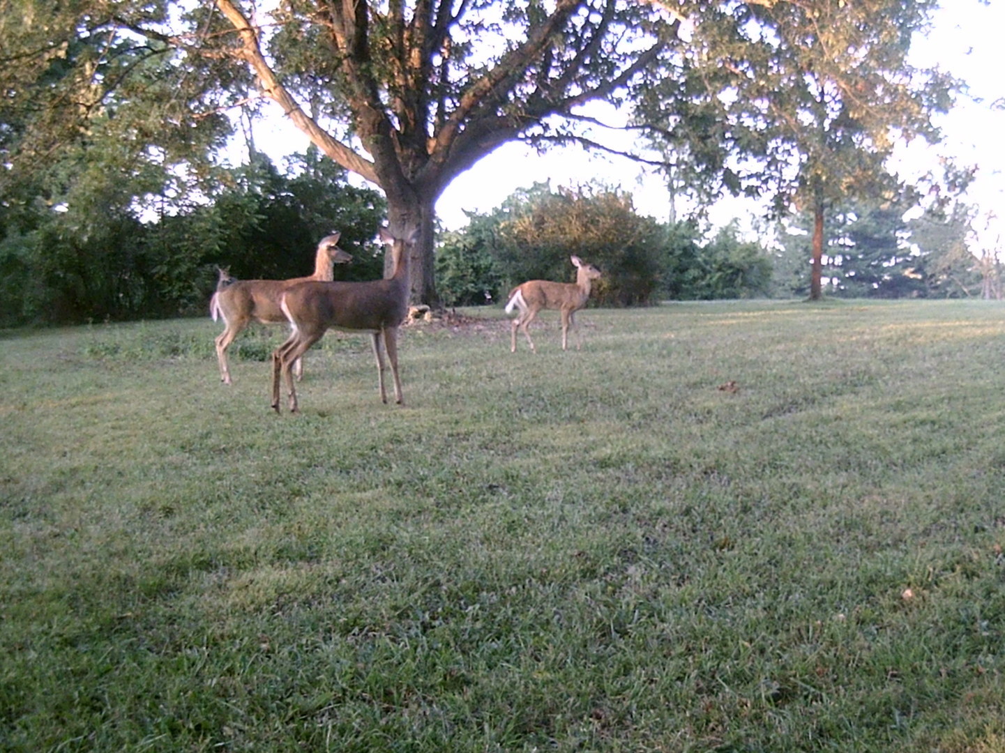 11116 Seeman Road Huntley, IL 60142 - Photo 25 of 26