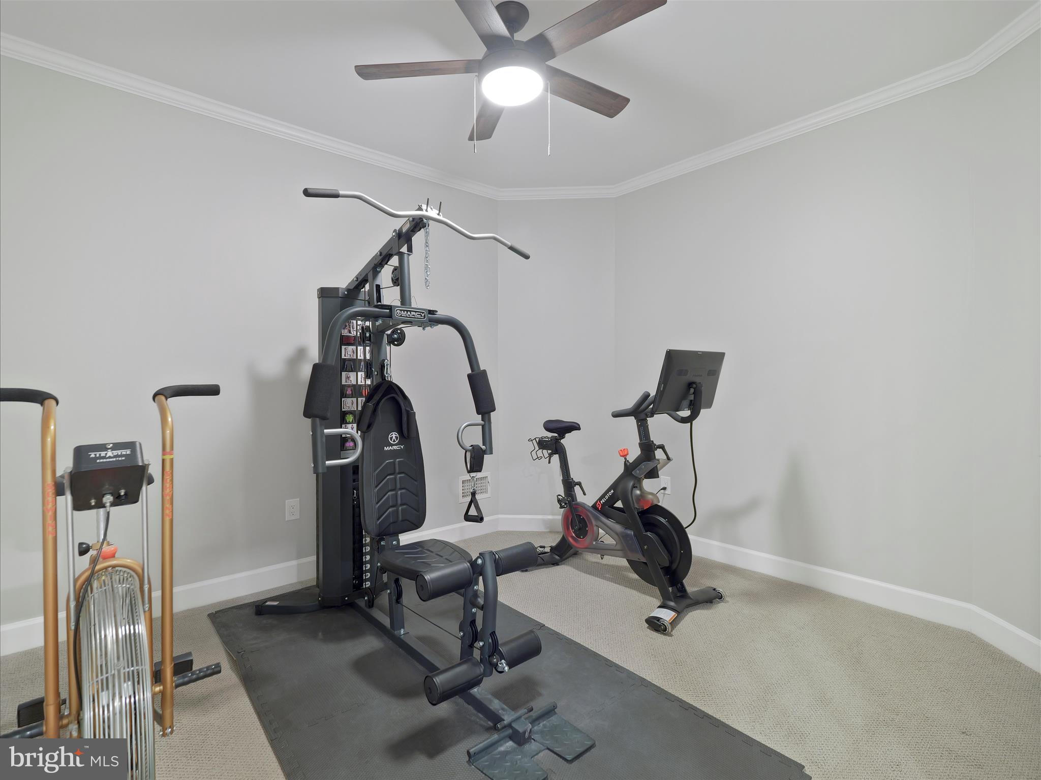 10306 Church Hill Road Myersville, MD 21773 - Photo 40 of 81 a view of a room with gym equipment
