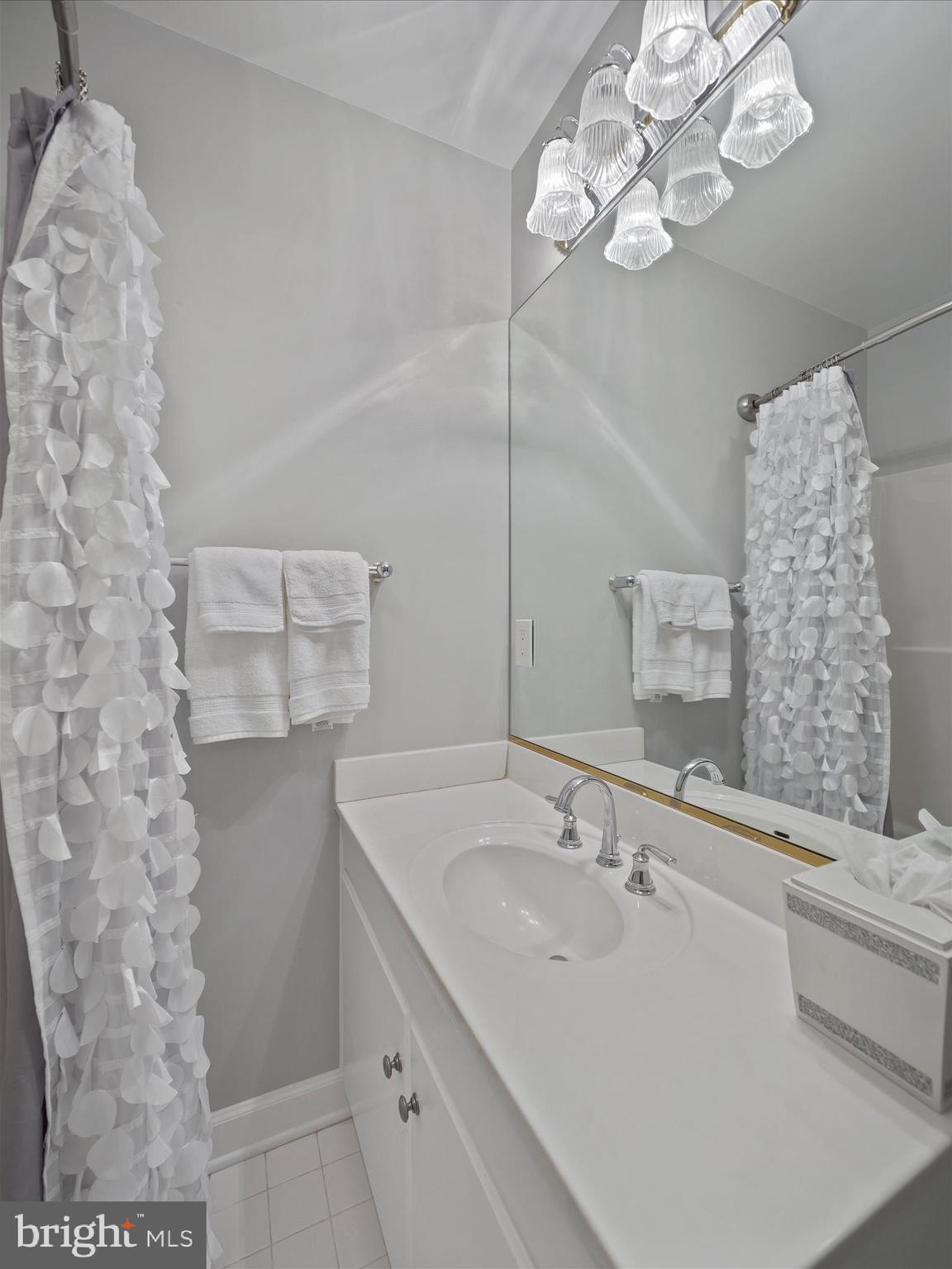 10306 Church Hill Road Myersville, MD 21773 - Photo 44 of 81 a bathroom with a sink a mirror and a shower