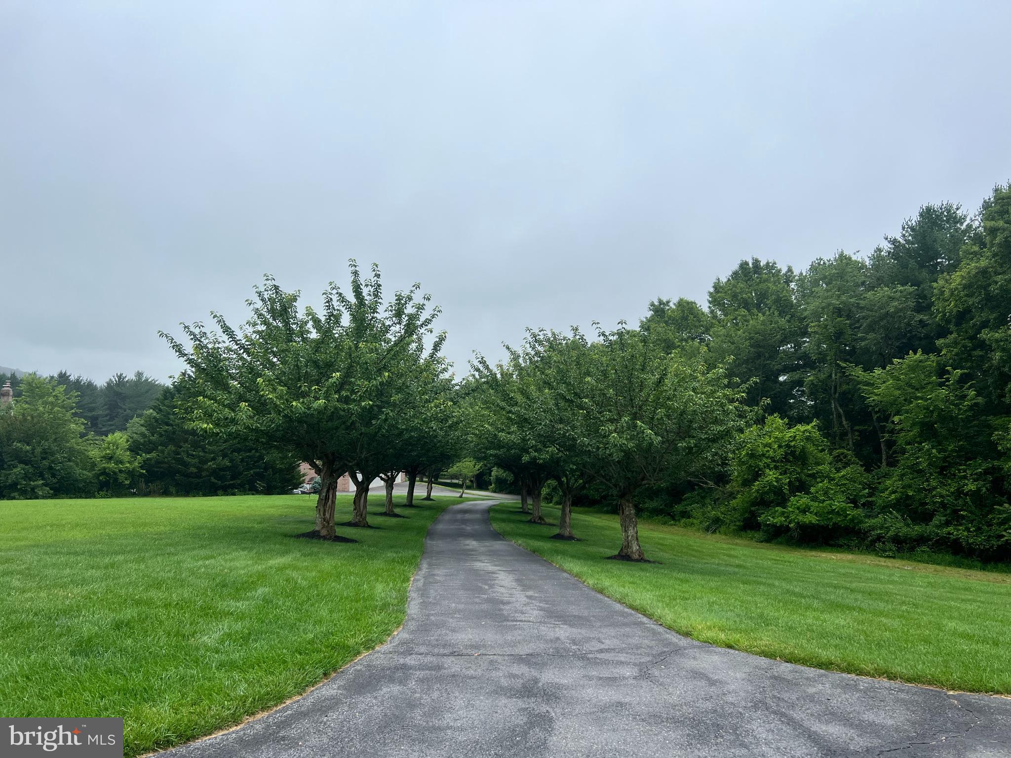 10306 Church Hill Road Myersville, MD 21773 - Photo 74 of 81