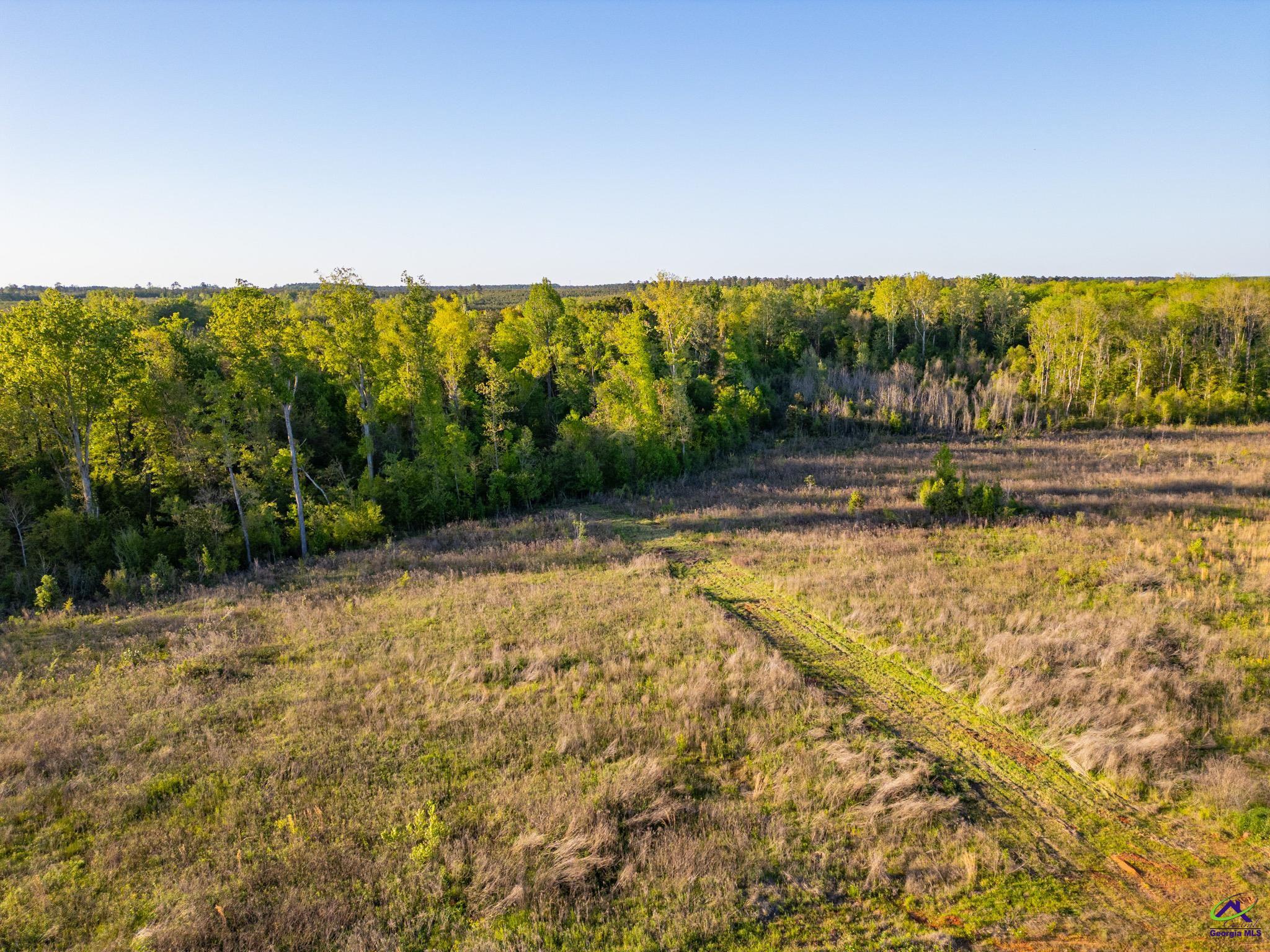 1065 Wimberly Road Hawkinsville, GA 31036 - Photo 57 of 69