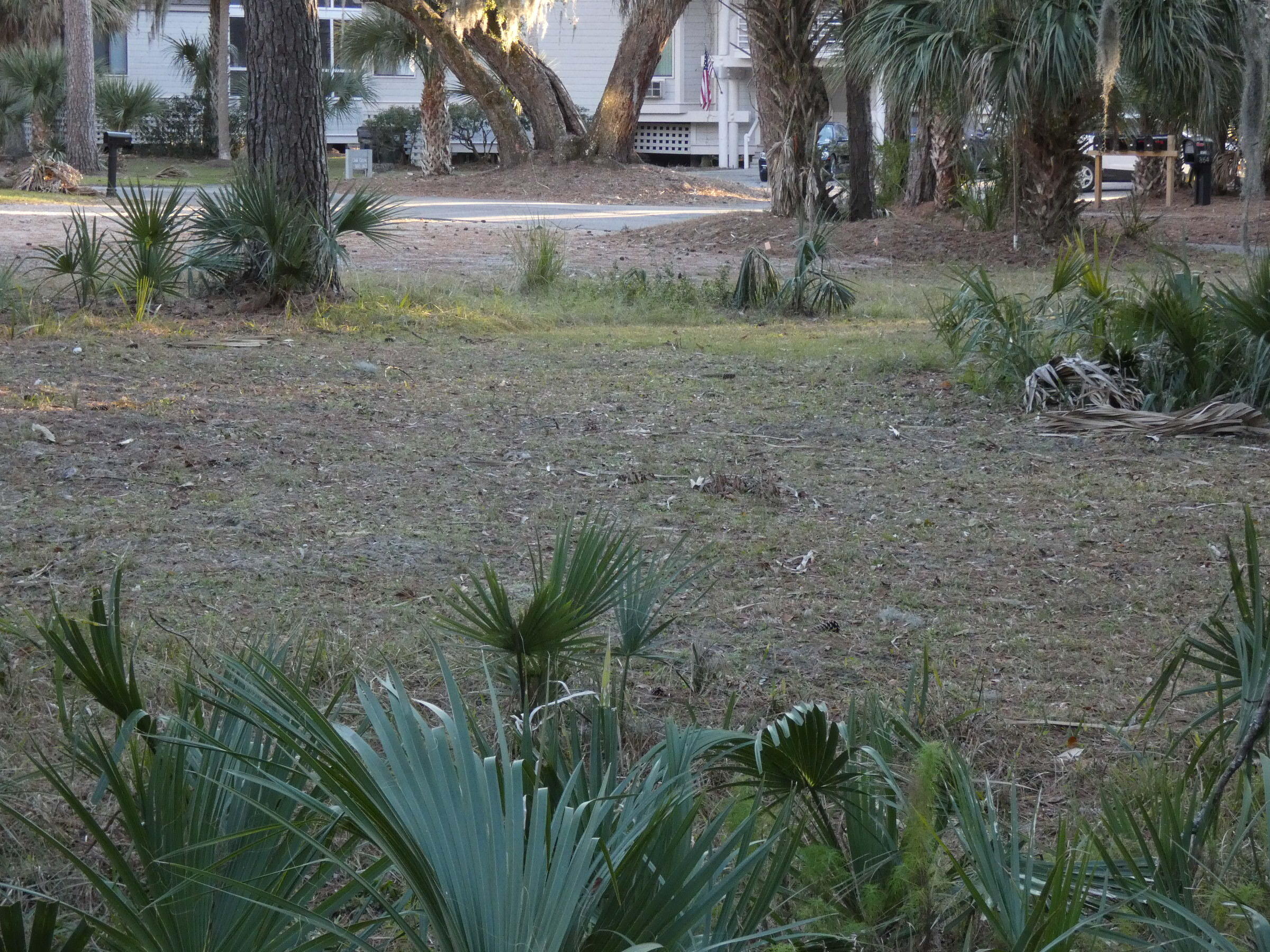 869 Club Cottage Road Edisto Beach, SC 29438 - Photo 3 of 25 9DE60D51-4A7D-4A4F-A25A-D37A03D656C8