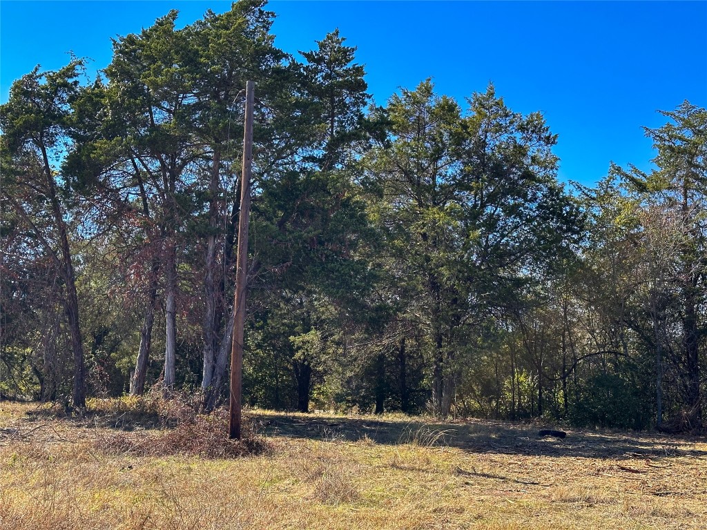 Lot 9 Foothill Road Bastrop, TX 78602 - Photo 7 of 12 a view of a yard with trees