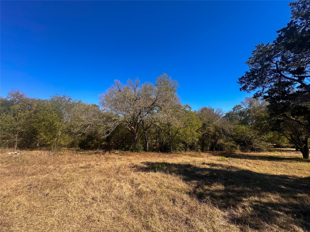Lot 9 Foothill Road Bastrop, TX 78602 - Photo 9 of 12 a view of a yard