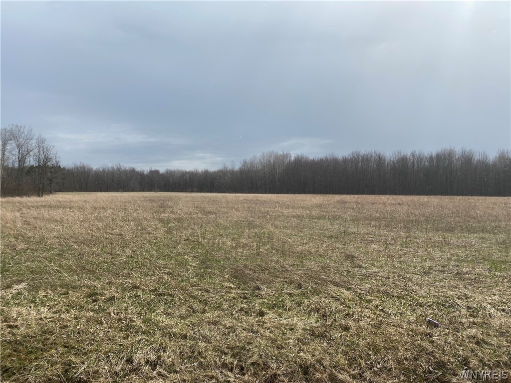 2073 New Jerusalem Road Eden, NY 14057 - Photo 1 of 1 Gallery Image 1