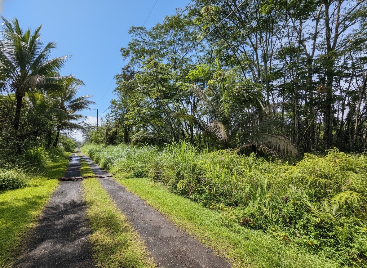 317 Molokai Road Pahoa, HI 96778 - Photo 4 of 6 Gallery Image 4